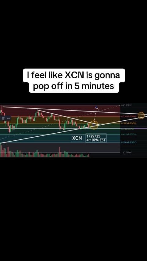 Lets see what happens #xcn #crypto