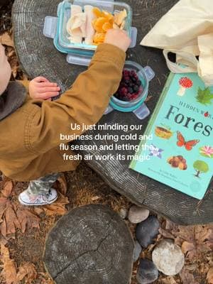 Fresh air is THAT GIRL! 👏🏻 Do we still get sick? Of course. But making outdoor time a daily priority has been a game changer for our immune systems. Even in winter, spending a few minutes outside or by the window can make a huge difference. Nature's design really is incredible-God knew exactly what He was doing! ✨ #freeplay #natureplay #outdoorkids #wildandfreechildren #wildandfreekids #letthembekids #letthembewild #waldorf #waldorfinspired #montessorikids #natureschool #earthing #wildchild #naturekids #outdoorsy #littleexplorers #littleexplorer #healthyliving #coldweather #coldandfluseason #crunchy #crunchymom #sahm #freshair #intentionalliving #toxicfreehome