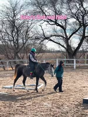 #horse #horseriding #arabian #babyhorse #cutehorse #horserider #horsesoftiktok #dapplegrey #greyhorse #arabianhorse #horselove #horsetraining #horsestarting #horsefirstride #prettyhorse #horsegirl #horselife #horsetok #esscaladethearabian 