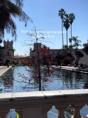 Picnic @ Balboa Park San Diego✨ it’s a must visit when you come, and it has lots of museums and gardens and it’s a nice walk! #balboaparksandiego #sandiegopicnicplanner 