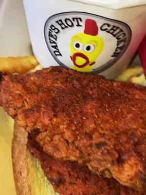 Dave’s Hot Chicken In Albany NY @Dave’s Hot Chicken #salenamakinmoves #daveshotchicken #foodreview #albanyny #518 #upstateny #mukbang 