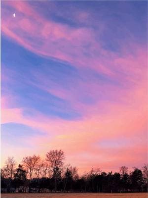 It was only 10 degrees outside, but my entire property was glowing pink at sunrise! 🌙💕  #moon #crescentmoon #pinkskies #clouds #sunrise #sunriseview #sunriselover #sunrisefnaf #sunrisevibes #sunriseview #sunrisers #tennessee #nature #skyline #farm #farmtok #farmtiktok #farmlife #morningview #foryoupage #fyp #foryou #tennesseecheck #coldaf #wednesdayvibes 