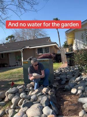 Broken water main means no water for the garden! #help #zone9b #waterline #mainwaterline #nowater #noshower #expensive #homeownerproblems #problems #rocks #movingrocks #