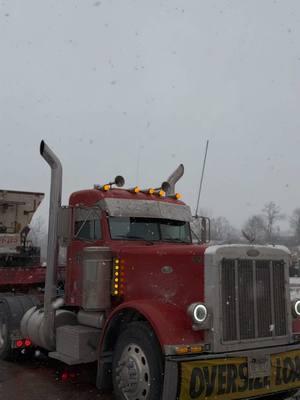 Ugh🫠  #peterbilt #379 #379largecar #truckinglife #trucking #trucksoftiktok #trucks #diesel #fyp #blondes #oversized 