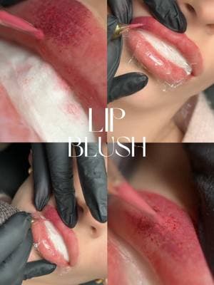 Enhance your lips with Lip Blush 👄 Add a subtle lip tint to define your lip shape and create the illusion of fuller lips.  With lip blush, we can mix custom colors with your goals in mind 🤍 No need for daily lip stick application! Wear it matte or glossed ✨ For appointments, contact us at 310-880-2809 Visit: SeduireSalon.com #lipblush #lipblushing #lipblushtraining #lipblushtattoo #lipblushlosangeles #lipblushoc #lipblushcourse #pmulips #lipblushingtraining #lipblushartist 