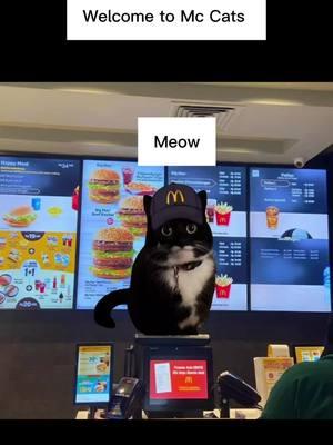 #Meme #MemeCut #tiktok #cats #mcdonalds #mcdonaldssecrets #catsoftiktok #cat #catlover #funnyvideos #funnycat #funnycats #funnycatsoftiktok #funnycatvideo #funnycatvideos #funnycatmoments #kittycat #kitty #kittycatsoftiktok #kittytok 