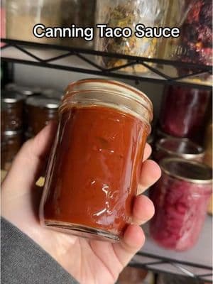 Taco Sauce   5 cups water  3 cups tomato paste  1 cup apple cider vinegar  1/2 cup corn syrup  2 tbsp chili powder  1 tbsp salt  1 tsp cayenne pepper  1/2 tsp hot pepper sauce   Full safe & tested recipe from Ball Book of Home Preserving   #Canning  #LowWaste #Sustainable #Sustainability #FoodWaste #Recipes #Homemade #WaterBathCanning #TacoSauce #CanningTacoSauce