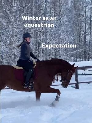 Even winter can’t stop the passion of equestrians 🐎 We can all relate to this video from @ystavanihevonen though 😅 #equestrians #equestrianlife  #horseriders #equestriansoftiktok #equestriantok #equestriantiktok #horsetok #horsesontiktok 