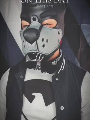 #onthisday still rings true 🤣 @Pup Karma #puptok #humanpup #puppyplaycommunity #kinkcommunity #beyourgenuineself #boopthesnoot #tiktokpuppack 