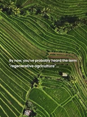 What exactly IS regenerative agriculture? Don't worry, we got you 💪 Do you think this could be the path to a sustainable future? 🌱 #RainforestAlliance #RegenerativeAgriculture #Sustainability #Climate #ClimateSolutions #Soil