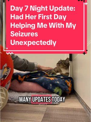 Replying to @Mandersboogs day 7 night update: the little one had her first experience with my seizures unexpectedly today. She was really calm, kind, and gentle with me through it. She’s also been reading my body’s cues and has been a lot more gentle since I had the first of 3 seizures today. #catdistributionsystem #catdistributionsystemoftiktok #update #catsoftiktok #adoptdontshop🐾 #emotionalsupportanimal #emotionalsupportcat #emotionalsupportcats #catmom #audhdcatmom #disabled #disability #nonepilepticseizure 