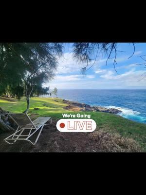 All about the View  at the Bottom of WOHRANCH Hamakua Coast Big Island Hawaii Nei #WhaleWatch #Outdoor #Live #fyf 