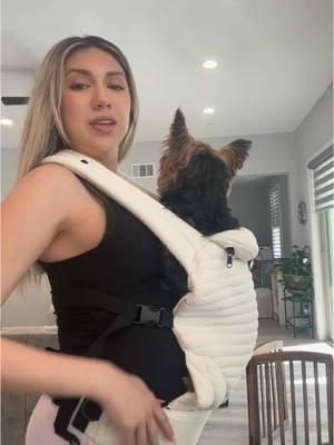 I was too excited to try my new @BUMPSUIT armadillo baby carrier 😭  #bumpsuitarmadillocarrier #babycarrier #pregnanttiktok #pregnant #pregnantlife #pregnancytiktok #prenancyjourney #35weekspregnant #pregnanttok #nesting #MomsofTikTok #momlife #momtok #momtobe #firsttimemom #bumpsuit #bumpsuitcarrier 