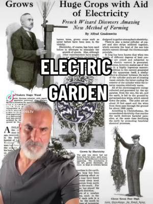 Healthbosstv: Electric Garden #electroculture #garden #gardening #electricity #diet #medicinal #livinghealthy #Love #healthylifestyle #healthyliving#healthy   #naturalremedy #plantmedicine #herbalism #naturalremedies #DidYouKnow #funfacts #healthtips #food #funfacts b  #healingartsapothecary #tips #tipsandtricks #healing#nutrition #healers #healed #healthyliving#chronicillness #healthbossdottv #healthbosstv #healingartsdotme #natural #help #selfheal #apothecary #apothecaryjars #sports#livinghealthy #foods#disease #diseased #diseases #plantmedicines #medicinal #howto #ai #artificialintelligence  