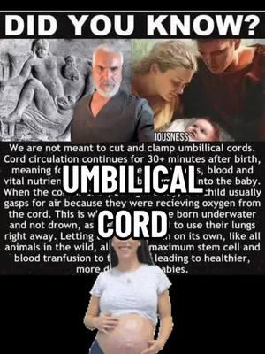 Healthbosstv: Umbilical Cord #pregnant #pregnancy #history #medicine #diet #medicinal #livinghealthy #Love #healthylifestyle #healthyliving#healthy   #naturalremedy #plantmedicine #herbalism #naturalremedies #DidYouKnow #funfacts #healthtips #food #funfacts b  #healingartsapothecary #tips #tipsandtricks #healing#nutrition #healers #healed #healthyliving#chronicillness #healthbossdottv #healthbosstv #healingartsdotme #natural #help #selfheal #apothecary #apothecaryjars #sports#livinghealthy #foods#disease #diseased #diseases #plantmedicines #medicinal #howto #ai #artificialintelligence  