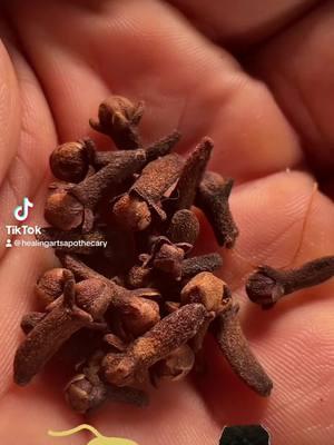 Healthbosstv: Cloves Why? #oralhealth #oralhygiene #parasites #digestion #diet #medicinal #livinghealthy #Love #healthylifestyle #healthyliving#healthy   #naturalremedy #plantmedicine #herbalism #naturalremedies #DidYouKnow #funfacts #healthtips #food #funfacts b  #healingartsapothecary #tips #tipsandtricks #healing#nutrition #healers #healed #healthyliving#chronicillness #healthbossdottv #healthbosstv #healingartsdotme #natural #help #selfheal #apothecary #apothecaryjars #sports#livinghealthy #foods#disease #diseased #diseases #plantmedicines #medicinal #howto #ai #artificialintelligence  