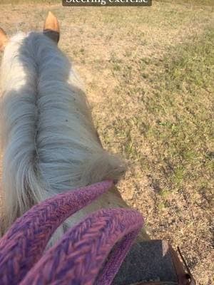 Posting a draft that got lost for a hot minute 😅 **for direct-rein horses. This is also an easy exercise to help soften a dull-mouthed horse, and help your own timing. It requires SO MUCH patience. But it is worth it!! It helps show your horse that you are a trustworthy leader for them. That you will be fair on your timing for when and how you ask for certain things from them. #DIY #horsetrainingtip #steering #reins #reward #training #psychology #babysteps #dullmouth 