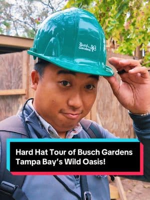 I can’t wait to see the brand new Wild Oasis at @Busch Gardens Tampa opening this Spring! #buschgardenstampabay #buschgardens #capybaras #themepark #themeparknews 