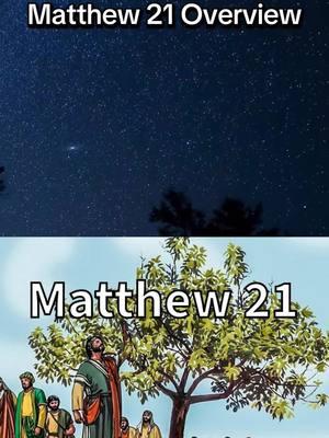 Matthew 21 Summary  #bibleverse #BibleStudy #BibleSummary #LearningAboutGod #Jesus #ChristianTikTok #christiantiktok #christian #matthew21 #matthew 