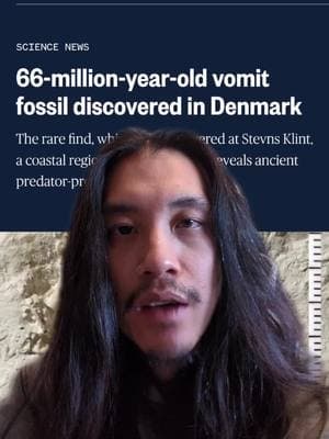 66 million year old vomit lol. #vomit #66million #years #wayback #news #denmark #smplsck other accounts @SMPLSCK @Today in MMA @jade emperor #greenscreen 