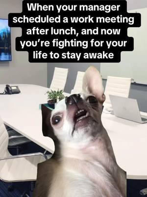 When your manager scheduled a work meeting after lunch, and now you’re fighting for your life to stay awake #work #worklife #workflow #workhumor #workhumor🤣 #workhumortosurvive #workcomedy #corporatehumor #officehumor #workmeme #workmemes🤪 #workplacehumor  