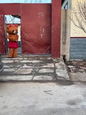 Congratulations on getting rich, bring me the red envelope!#OnlineRedBear #NaughtyBear #HappyTiktokNewYear #Funny #FunnyVideo 