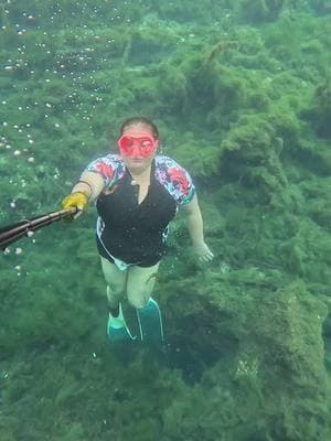 Look who I found!! 🥰 @Danielle cecil  #freediver #florida #mermaid #kendraunderwater #fyp #underwater #allthingsmermaid 