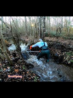 Beaver Dam Removal Between The Trees! #beaverdamremoval #beaverdam #damremoval #beavers #dam #drain #draining #water #unclogging #terrellspivey #fypシ゚ #foryoupageシ #foryou #viralvideo #viralpost #foryoupageofficiall #fyp #fyppppppppppppppppppppppp #tiktok #tiktokvideos #viraltiktokvideo #tiktokviral 