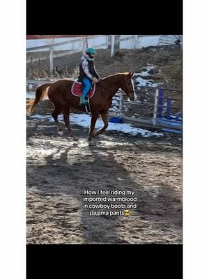 Her jump feels hugeee omg #horse #horseriding #equestrian #warmblood #dutchwarmblood #kwpn #chestnut #chestnutmare #horserider #horsejumping #importedhorse #horselove #horselover #horsesoftiktok 