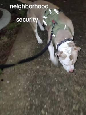 Batman Security in the neighborhood at night y'all better be in by curfew #batman #batmangang #neighborhood #neighborhoodwatch #southside #southbelt #Scarsdale #Houston #Tx #mybully 