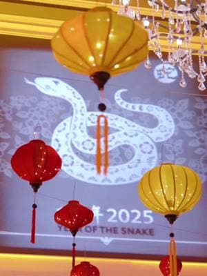 A Chinese New Year Party in Omaha.  #lunarnewyearomaha #omaha #omahanebraska #omahaevents #weddingcontentcreator #chinesenewyear 