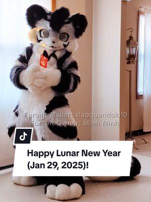 HAPPY LUNAR NEW YEAR (Jan 29, 2025) It's the year of the snake babyyy!  #2025 #happylunarnewyear #lunarnewyear  #fursuit #furryfandom #fursuiting #fursuiter #furry #fursona #furryoftiktok #furriesoftiktok #furrycommunity #kemono #kemonofursuit #minhminh #minhminhthetiger #tiger #furrytiger 