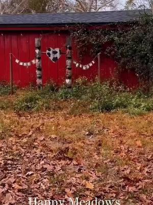 So thankful to be able to witness the joy my sweet cows bring to so many people.☺️ Love this little video made by a recent guest! #fluffycow #cows #animaltherapy #seratonin #agrotourism #highlandcow #farmtour #oviedoflorida #floridafarm #minicow #babycow #cowlove #fypviralシ #thingstodoinorlando 