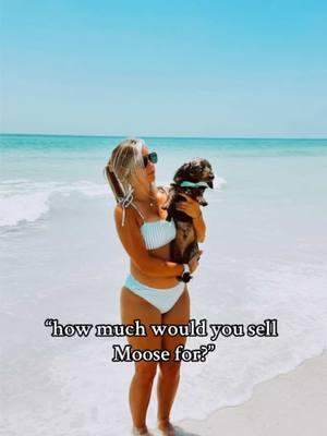 no money could replace this one #foryou #fyp #trending #lowerAL #pensacolabeach #dogbeach #dachshund #cojo #codyjohnson 