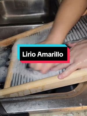 #jabónlirio #sudsywash #likes #followme #asmrsudscommunity #lavaramano #satisfaction #laundrylovers #laundrytime #cleaningtips #oddlysatisfying #washboard #happyhandwashing505 #lavandoropa #foryou #laundrytok #laundryhacks #asmrsounds #paratii #asmrcommunity 