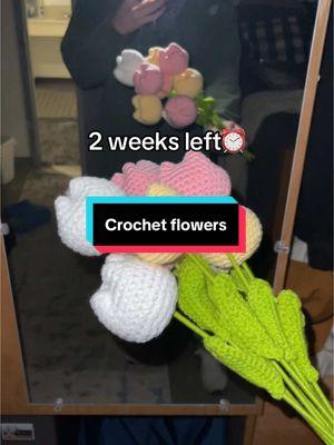 get her something that will actually last forever this year.. #flowers #ValentinesDay #valentinesdaygift #crochetflowers #crochetbouquet #crochettulips #TikTokShop 