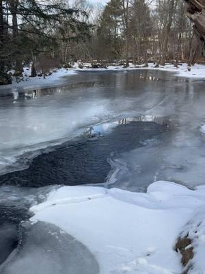 The moment all your excitement and anticipation gets demolished. Ever spend hours thinking about fishing the night before? What holes you’re gonna fish, are you gonna catch that one that got away last time, what flies are you going to start with? Then you get to the creek and it’s iced over. Buzzkill. #flyfish #fishing #flyfishdelawhere #ice #icefishing #frozen #frozencreek #frozenwater #dayoff #troutfishing #troutcreek