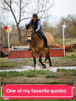 We are speaking to them in a different language, so it never helps to yell! 📸 @Zoey!🎠🩵🧷  #rtleventing #eventinglife #horsesoftiktok #milehighges🦄  #coloradohorses #eventer #eventingtrainer #eventinghorse 