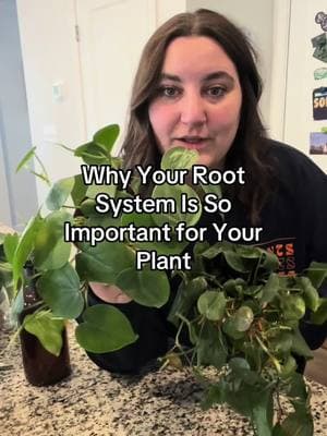 Check ya roots!!! #plantcare #plantsoftiktok #plantadvice #PlantTok #plantparent 