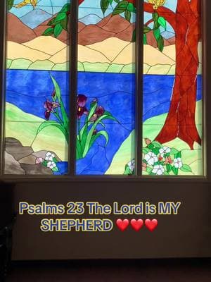 #psalms23#thelordismyshepherd#biblereading#godrestores #helpfromgod#devotionsfortoday#widowofticktok#encouragement #stainedglass #readwithme#jesuslovesyou