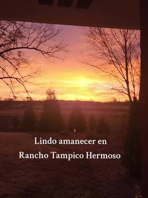 #ranchotampicohermosomadisonga #ranchoelzacatecanomadisonga #ranchoviral #amanecer #amanecerbonito #viral 