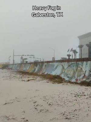 Foggy #seawall #seawallart #fog #foggy #intothemist #beach #Galveston #GalvestonTX #Galvestonisland #gulf #gulfcoast #thebay #waves #sand #weird #view #views 