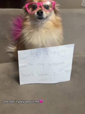 Yall heard her 🥰 #viraltiktok #dogsoftiktok #dog #pommom #fyppppppppppppppppppppppp #fy #dont #play 