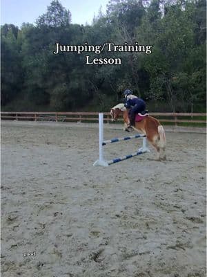 I’m obsessed with this horse #ridinglesson #horsetraining #equestrian #horsegirl #horseriding #showjumping #haflinger #haflingerhorse #equitation #horsejump #horsejumping #horselesson #equine #equestriansoftiktok #equestriansport #fypシ 