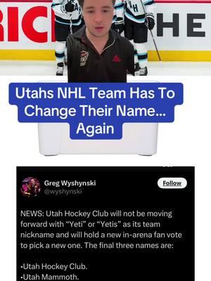 Utah has had a rough year. #utahhockey #utahhockeyteam #NHL #NHLFaceOff #utahyetis #utahyeti #nhlplayoffs #arizonacoyotes #arizonacoyotesrule🏒 #greenscreen 