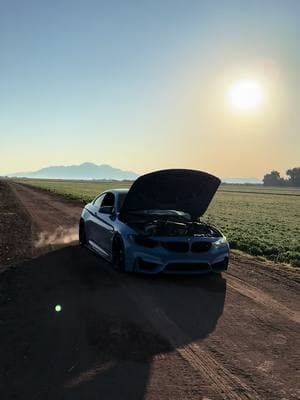 Hi TikTok #bmw #m4 #f82 #singleturbo #cars 