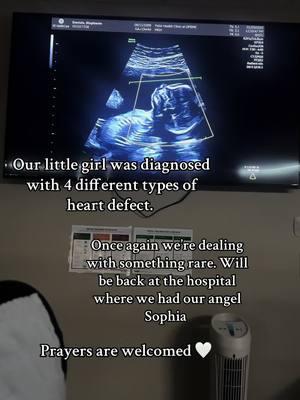 Baby B has:  -Heterotaxy dextrocardia; -Pulmonary stenosis; -Complete atrioventricular canal defect; -Double outlet right ventricle.  Will be posting more about it soon.  #congenitalheartdisease #heartdisease #heartdefect #kcmo #rainbowbaby #miraclechild #pregnancyafterloss #pregnancyafterinfertility #angelmom #girlmom 