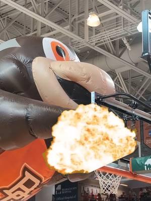 Cant hold Freddie back gotta let him fly 🦚✨ #LetMeFly #BGSU #Blimp #College #Falcons #Falcon #AlwaysBG #University #CollegeLife #BowlingGreen #Ohio 