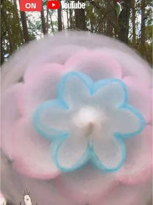 #onthisday #fineanddandycottoncandy #cottoncandyflower #cottoncandy #youtube @finedandycottoncandy6808