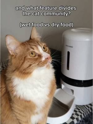 does your cat prefer wet food or dry food? #automaticfeeder #petlibro #smarttech #birkin #catmomlife #catmoves 